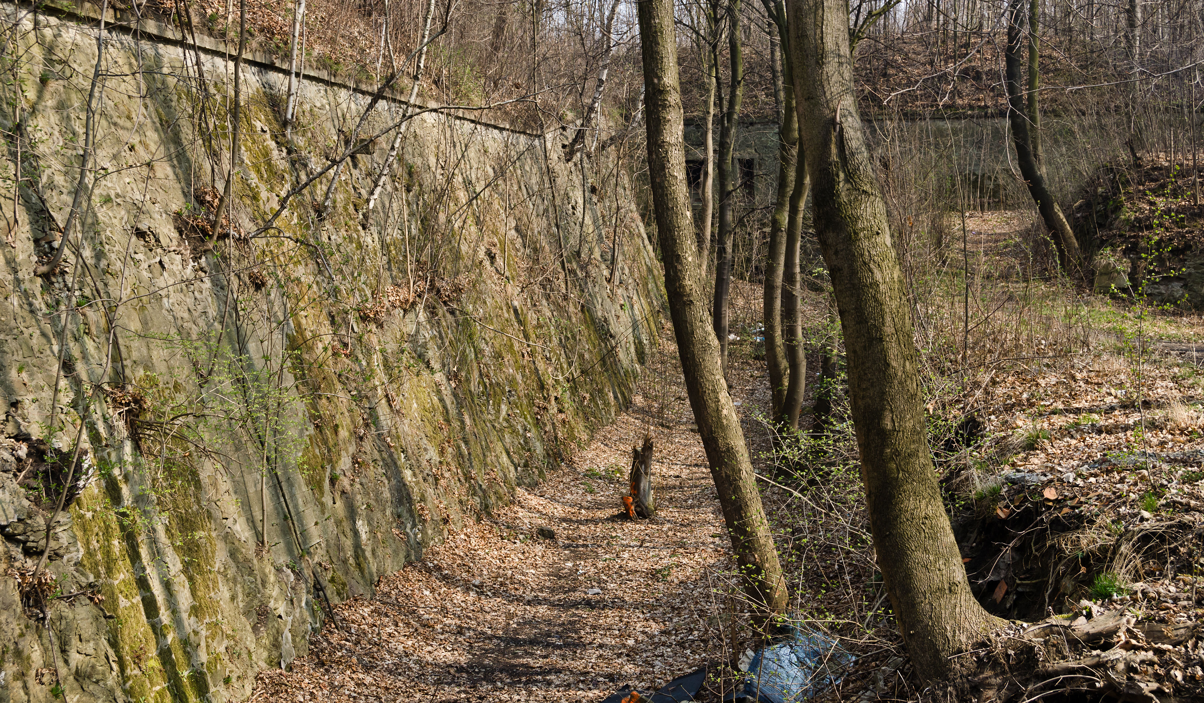 Fort Owcza Góra